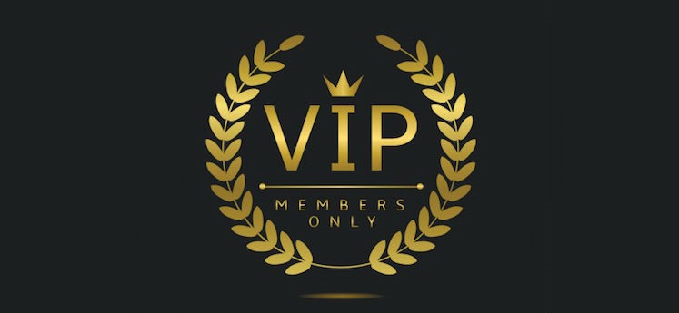 VIP Support Monthly